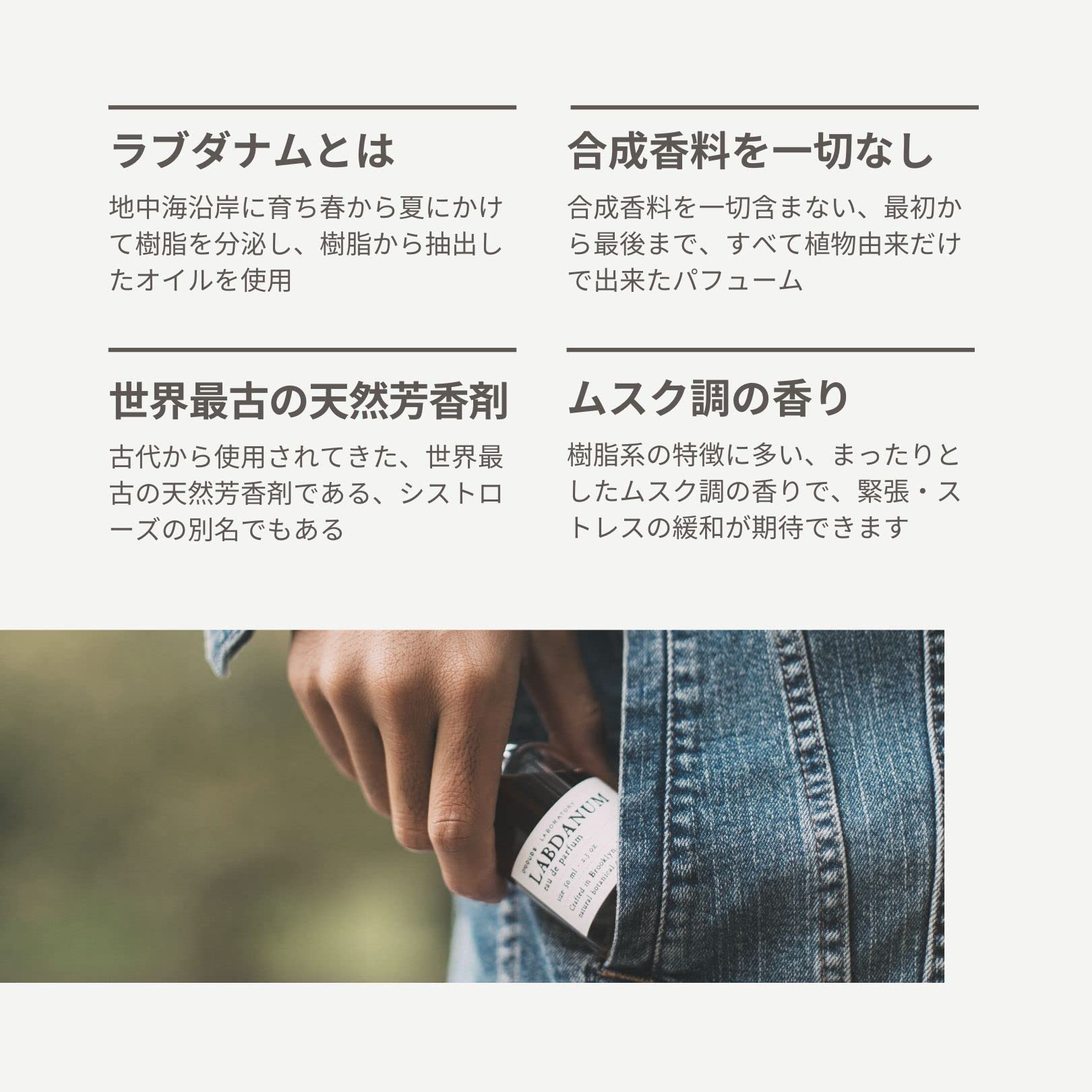 Amazon | O'Douds オダウズ ラブダナム オードパルファム 50ml｜香水