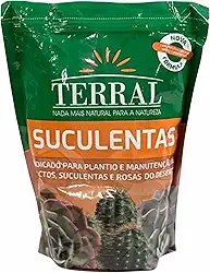 Suculentas Tradicional 1,5L - Terral