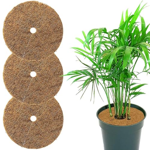 VIRSUS Disco pacciamatura per Piante 4653, Diametro 35 cm, in Fibra di Cocco Biodegradabile, Protezione antigelo Erbacce permeabile all'Acqua per Piante, Giardino Orto e Piante in vasi (3)