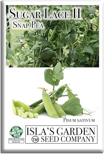 Sugar Lace II - Semillas de guisante a presión para plantar, más de 50 semillas de reliquia por paquete, semillas de jardín (Isla's Garden Seeds),
