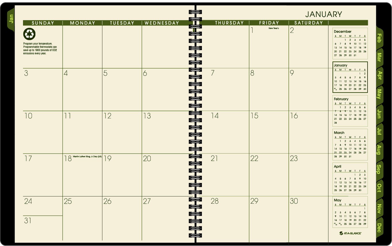 at-a-glance Recycled Weekly Monthly Professional Appointment Book, Black (70950G05)
