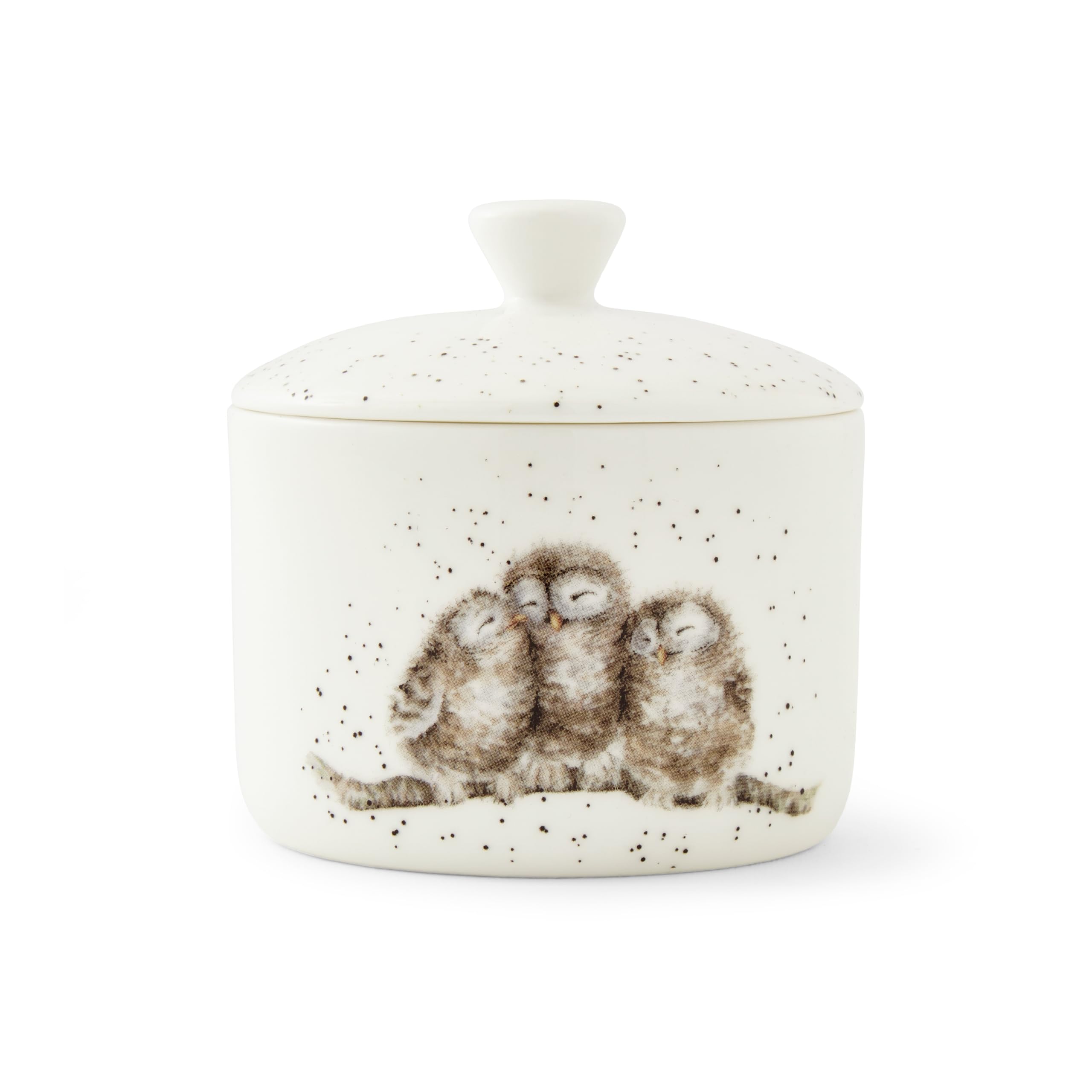 Wrendale 9.5Cm Lidded Storage Jar Small (Owl)