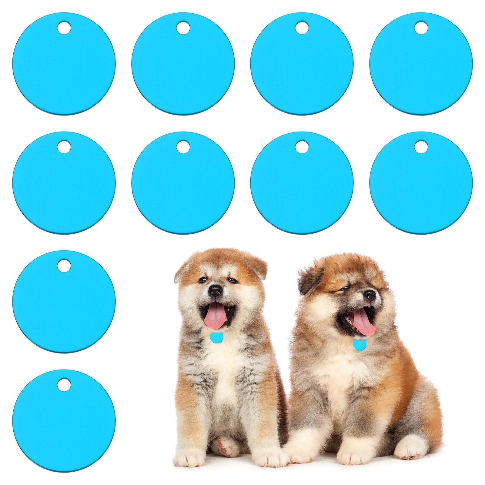 PATIKIL 30mm Blanks Dog Pet Tags, 10Pcs Round Aluminum Blanks Engraving Tags for Carving Names Phone Numbers or Other Information Pendants, Lake Blue