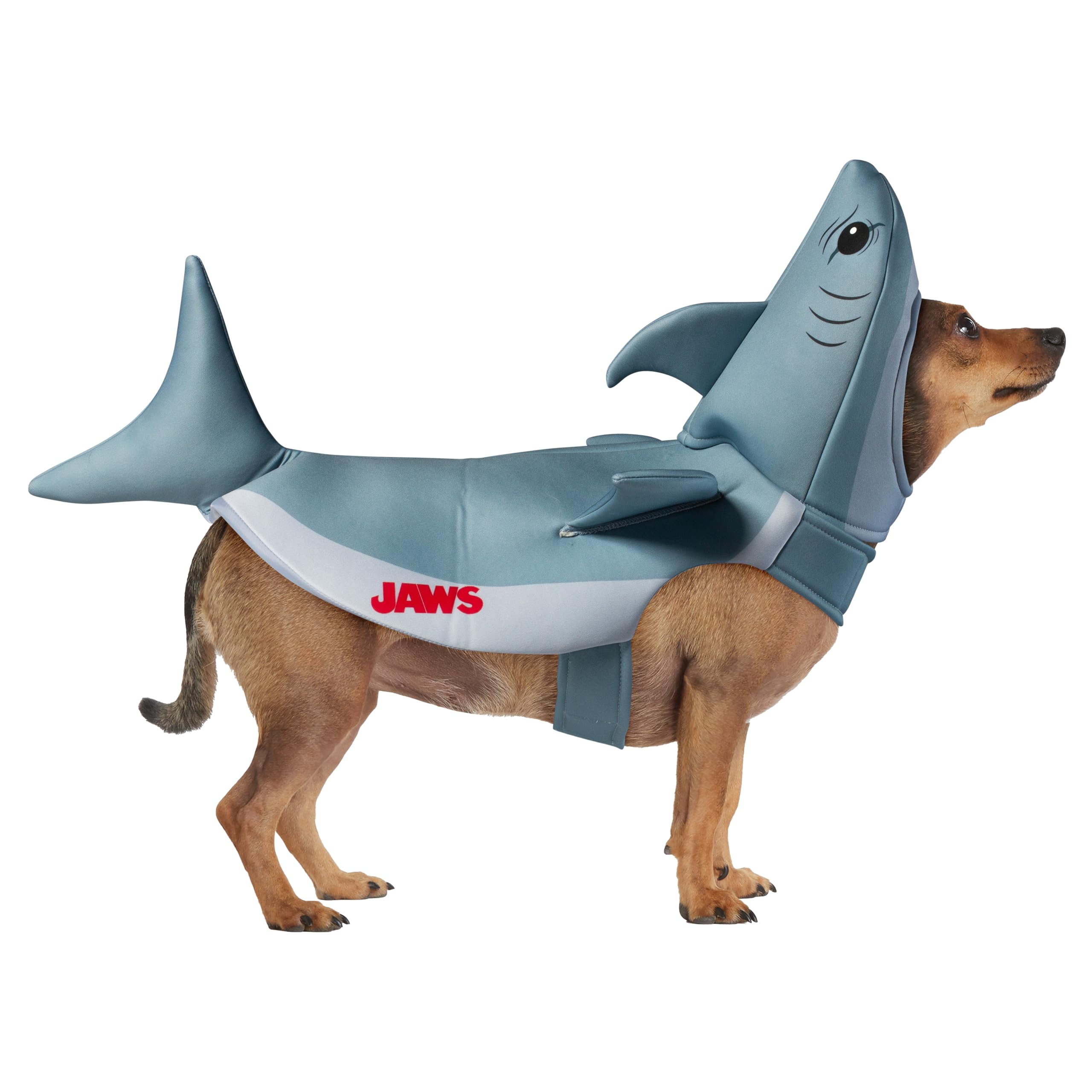 View 6