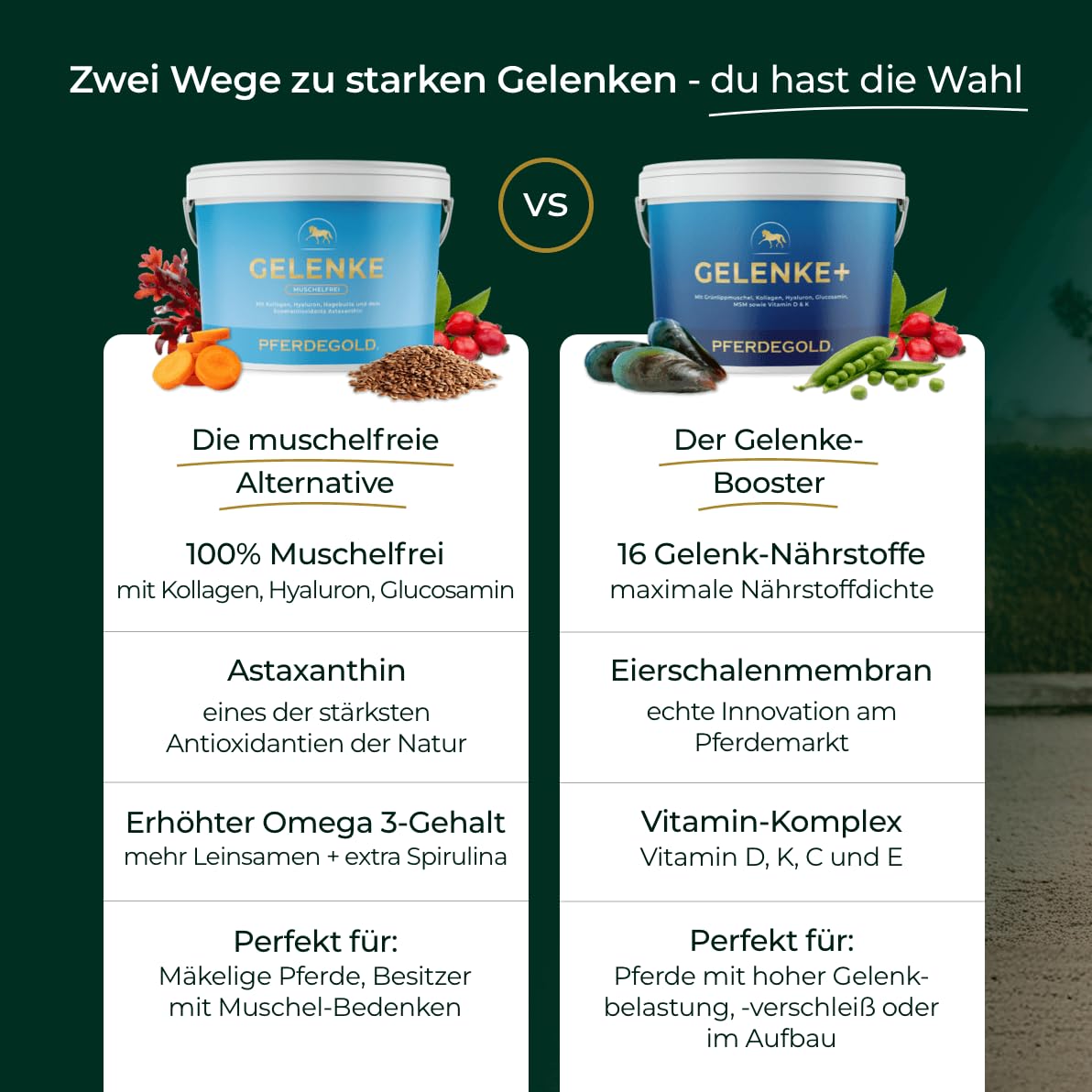 Articulaciones sin conchas 1,5 kg – Pellets articulados sin conchas | Con astaxantina, hialurón, colágeno y espirulina, natural y libre de dopaje, fabricado en Alemania