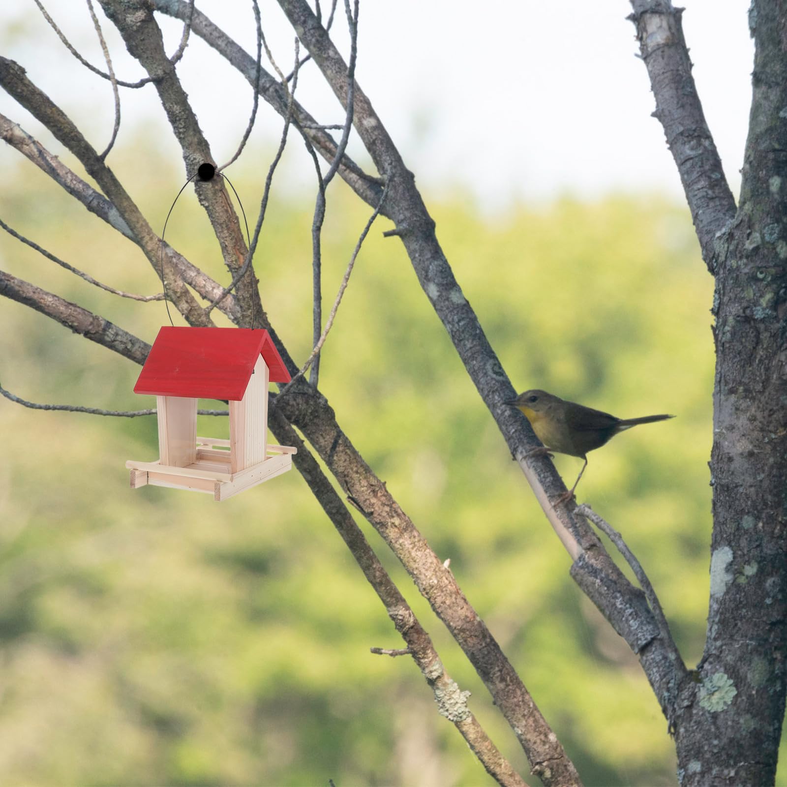 Mangeoire et Fenêtre D'observation à Suspendre en Bois Toit Résistant aux Intempéries Oiseaux Extérieure pour Chardonnerets et Oiseaux Sauvages Patio