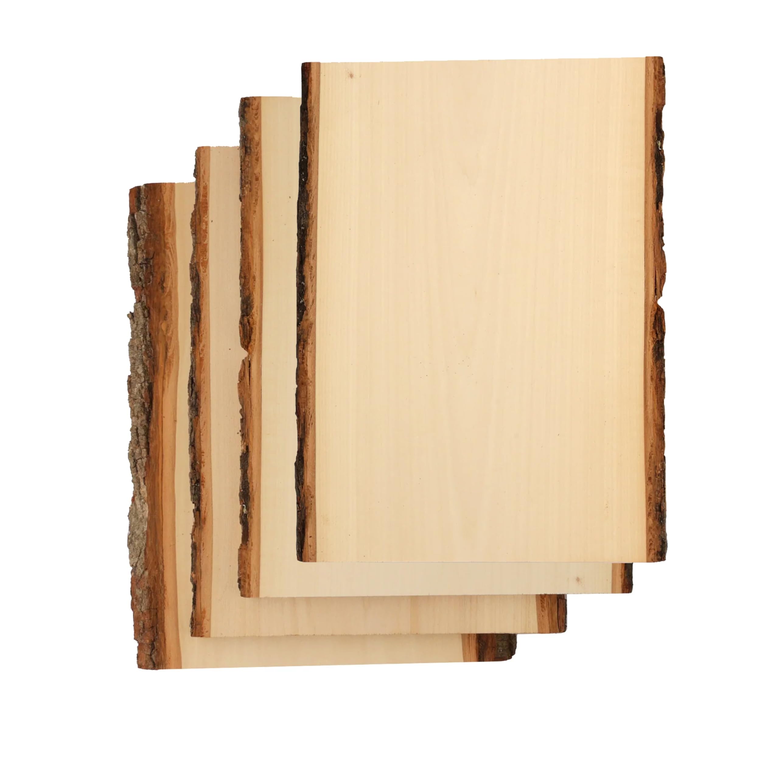 Parent Premium Basswood Bark Edge Plank