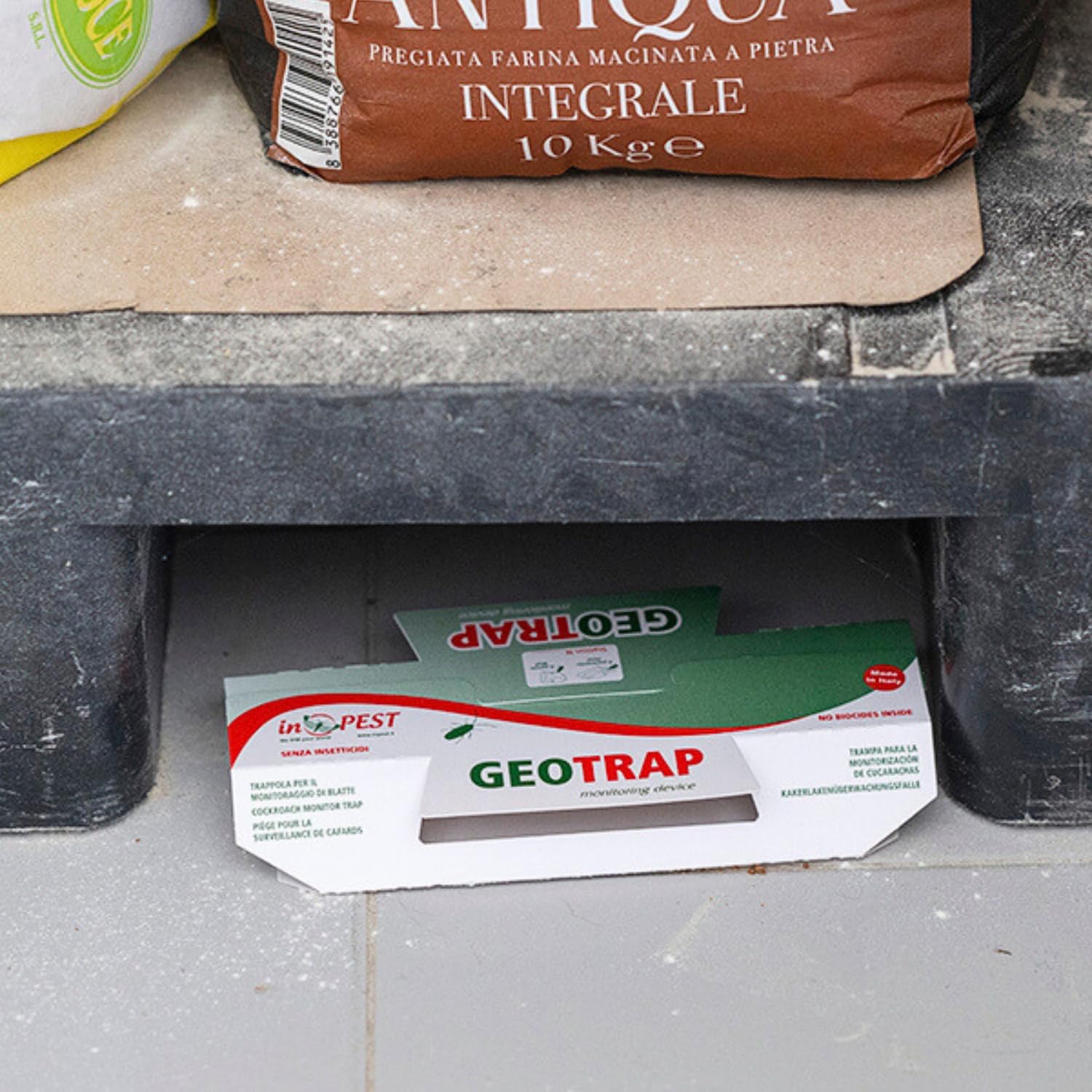 Geotrap – Trappole per Blatte da Interno - 20 Pezzi- Cartoncino Adesivo alla Liquirizia per Insetti Striscianti – Trappole Scarafaggi e Blatte con Gel Rosso Aromatizzato – Uso Interno