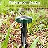 Product Photo 5