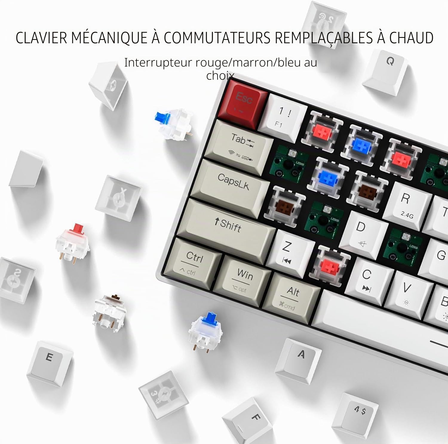 Newmen GM610 Clavier de Jeu mécanique 60% remplaçable à Chaud supplémentaires, rétroéclairé RVB, Touches programmables complètes pour Windows/Mac/Android (Red Switch)