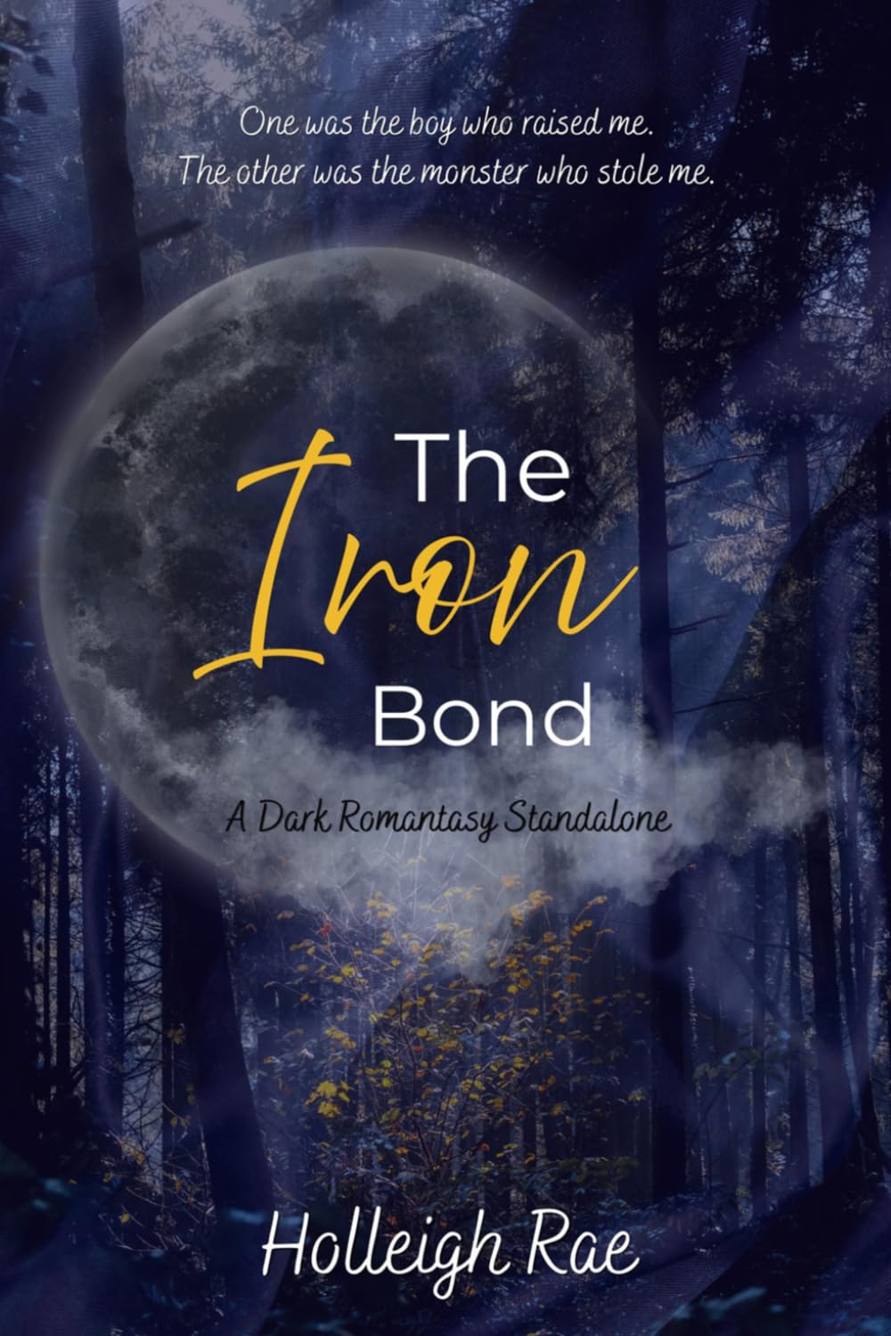 The Iron Bond: A Dark Romantasy Standalone