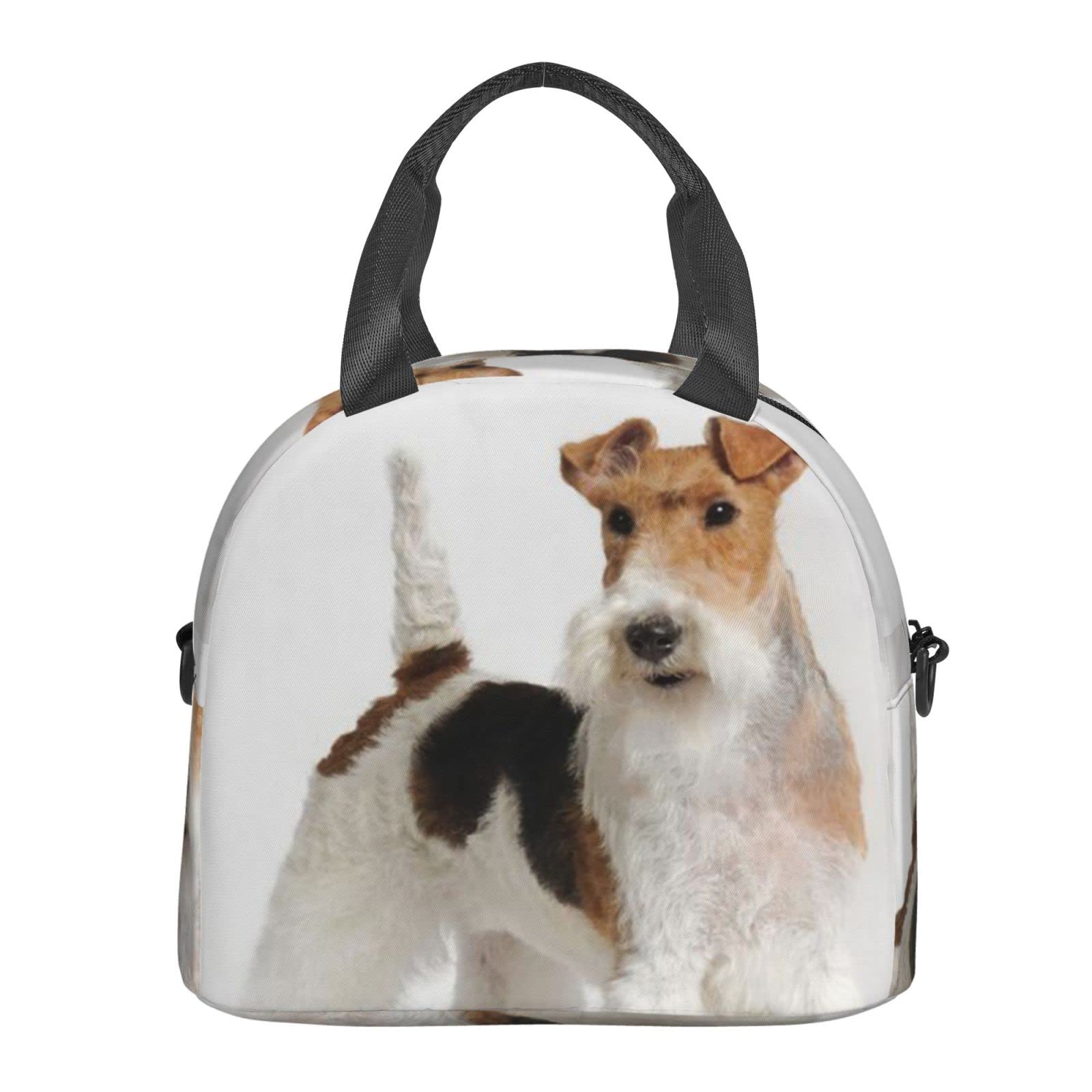 Borsa termica per il pranzo, riutilizzabile, borsa termica per il pranzo, borsa termica per cani, zampa di cane, per adulti, durevole, resistente all'acqua, per donne e uomini