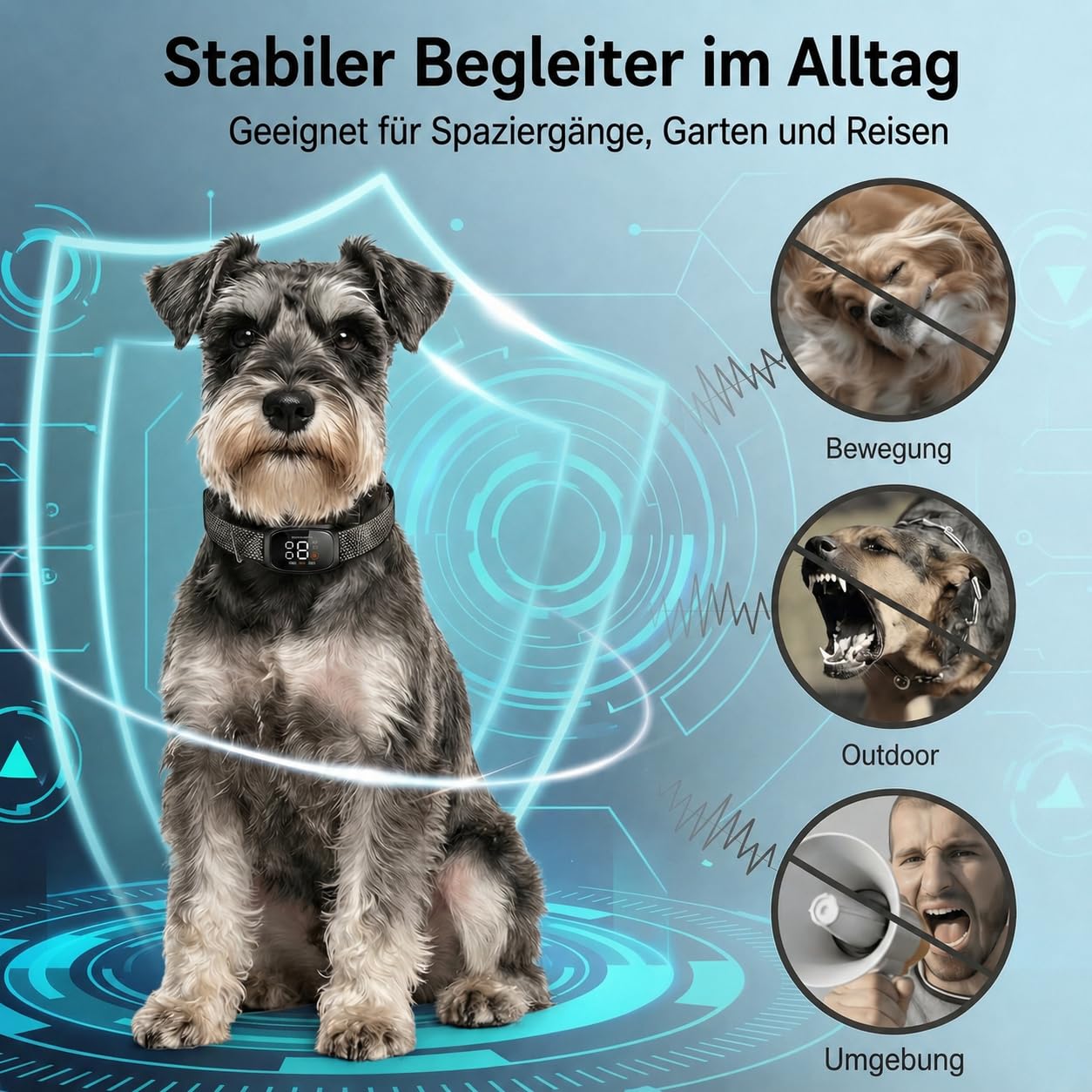 Verstellbares Hundehalsband für Alltag und Outdoor - Leichtes, wasserbeständiges Hundezubehör für Spaziergänge, Garten und Reisen, geeignet für kleine und mittelgroße Hunde (Schwarz) XGQ-002