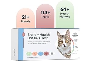 Cat DNA Test Kit - Know Your Feline's Ancestry and Health Profile...