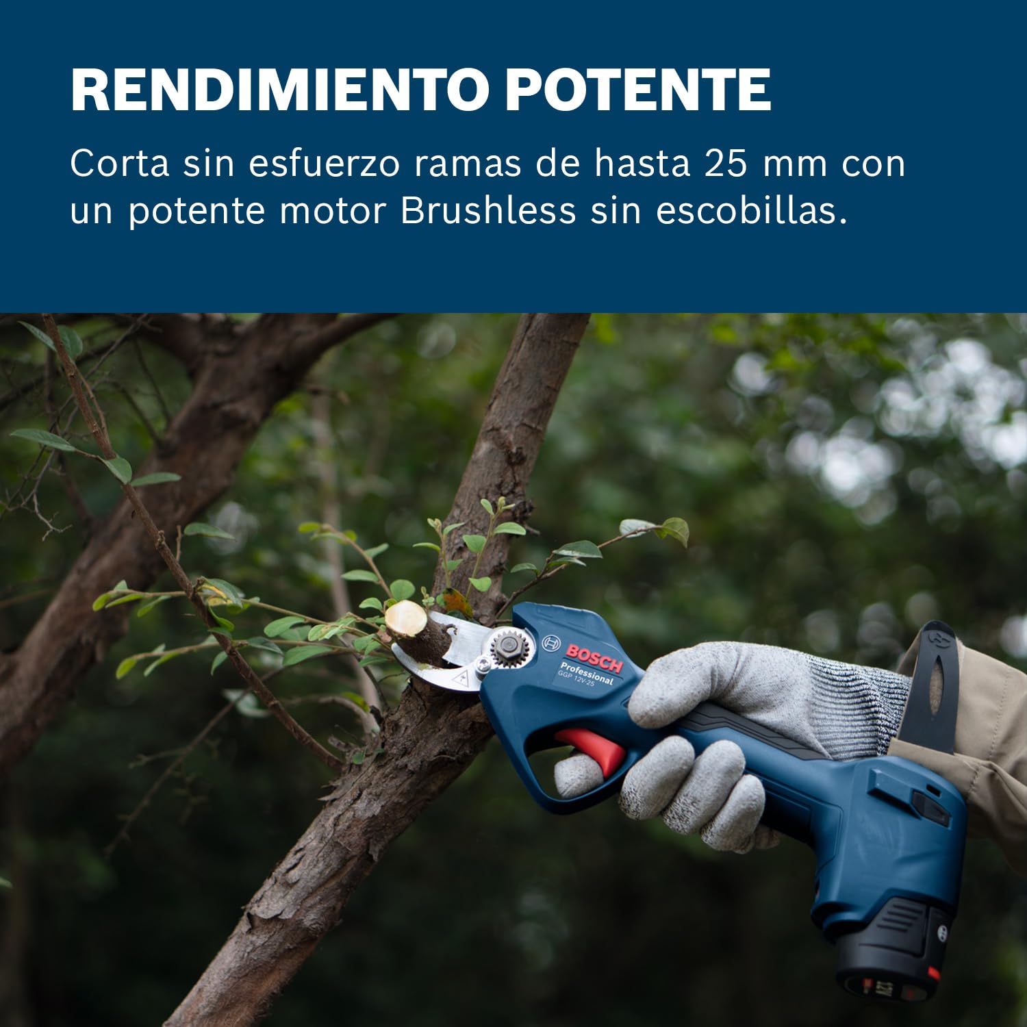 Bosch Professional 12V System GGP 12V-25 podadora | hasta 4500 cortes por carga, motor Brushless sin escobillas, cortes de 25 mm, con 2 baterías de 3,0 Ah