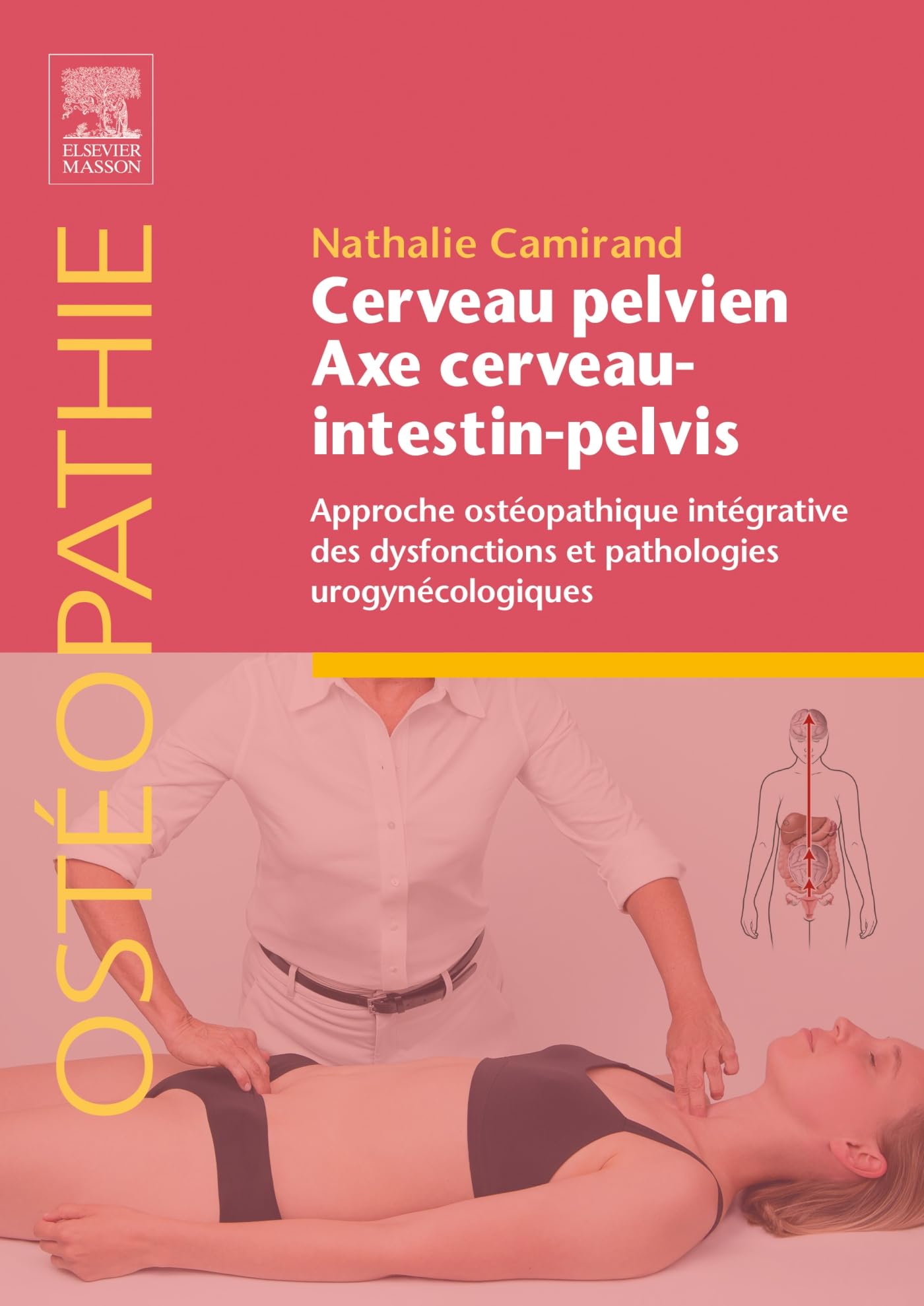 Cerveau pelvien - axe cerveau-intestin-pelvis: Approche ostéopathique intégrative des dysfonctions et pathologies urogynécologiques