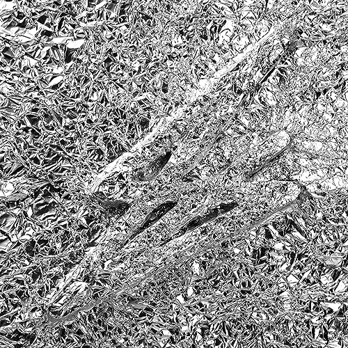 シルヴァー[日本先行発売]のサムネイル