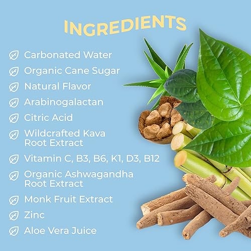 Miniatura 4 de Body Intelligence Euphoria - Agua con gas inteligente, bebida vitamínica para apoyo inmunológico, agua saborizada de gran sabor para relajación,