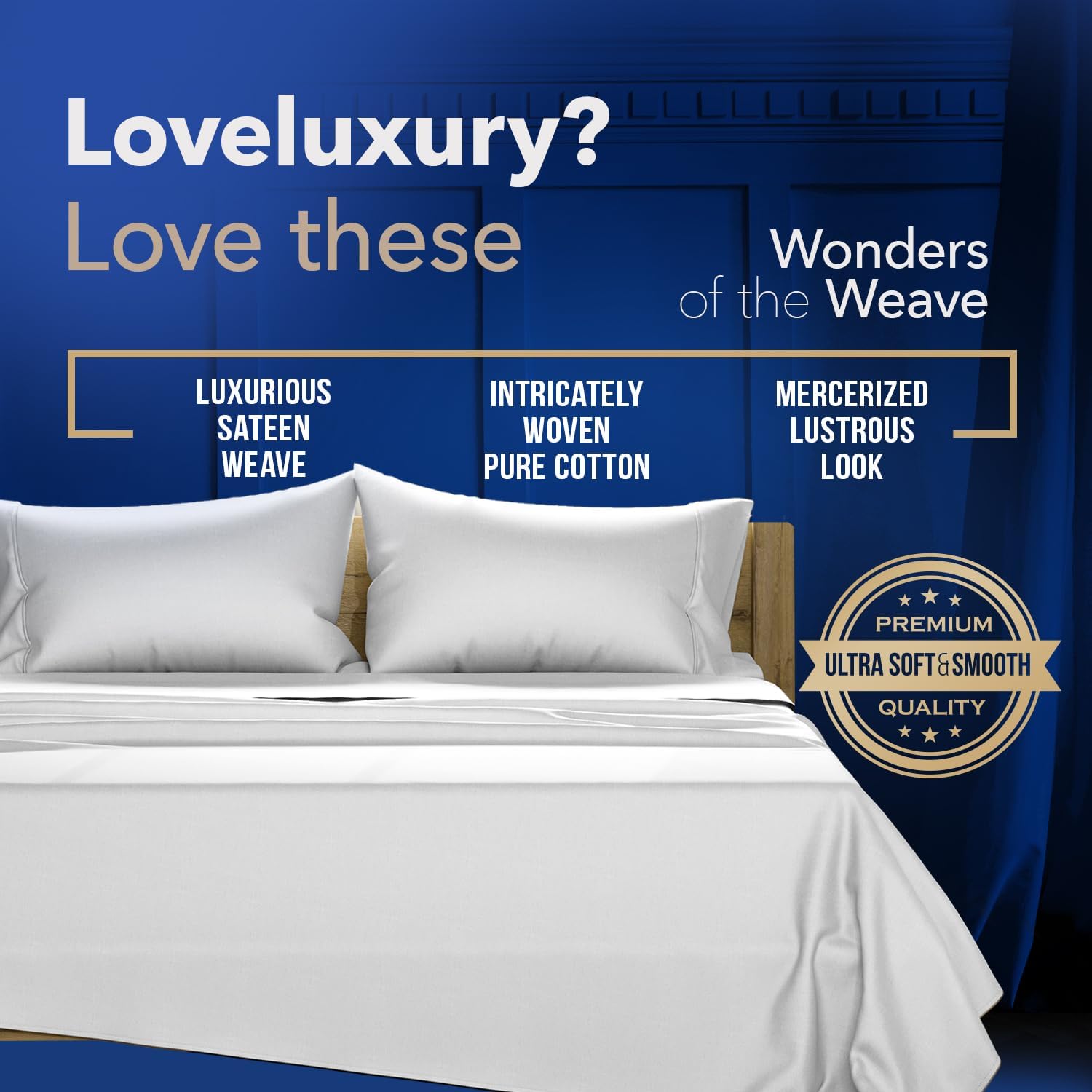 TEXAS LINEN CO. Luxury Egyptian Cotton King Pillow Cases Set of 2-1000 Thread Count Pillowcases for Sleeping, Soft, Cooling Pillow Cover, Extra Long Staple Hotel Quality Pillow Cases - Silver