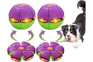 2-Pack Doggy Disc Ball Outdoor Sports Sky Flying Saucer Ball Squeaky Dog Toys