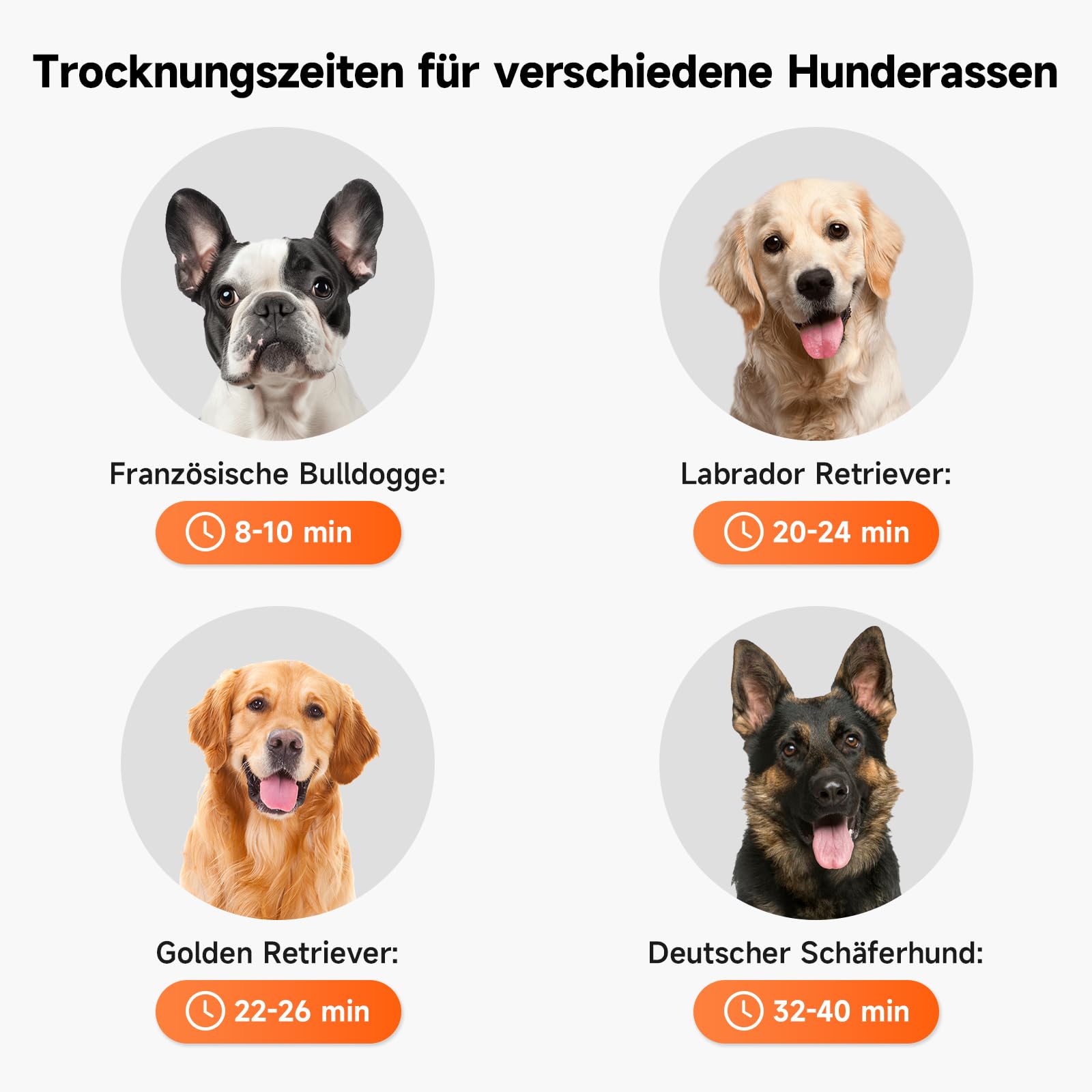 Hundeföhn 2200 W 100m/s mit Negativen Ionen