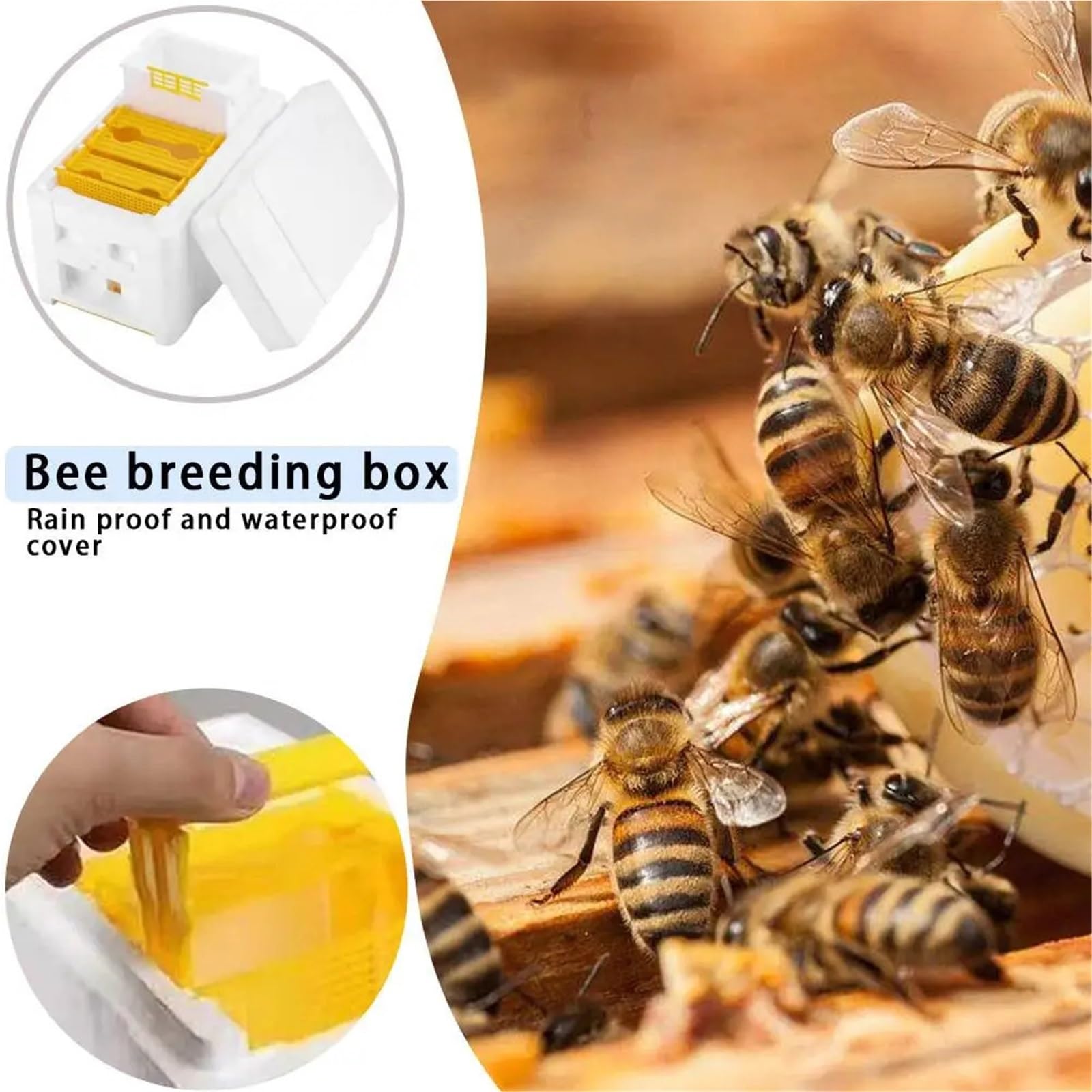 Bienenstock-Rahmenhalter-Ausrüstungs-Kit – Imkerbox mit Schaumstoff, unverzichtbare Werkzeuge für Garten- und Bienenhaltung, langlebiges und effizientes Bienenstockmanagement