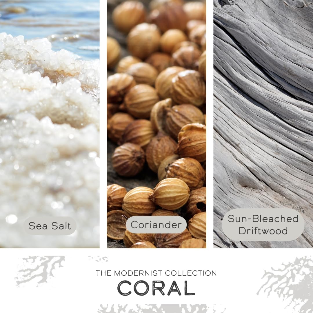 Coral Art-Inspired Scented Candle | 9oz Soy Coconut Wax Blend | 55-Hour Burn | Premium Sea Salt & Driftwood Scent | Signature Artistic Glass Vessel | Unique Gift | Made in The USA