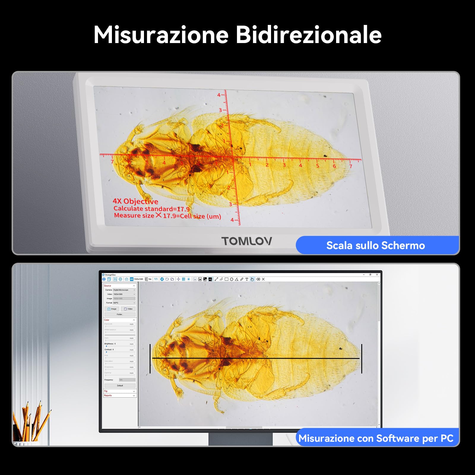 TOMLOV DM301 Max Microscopio Biologico per Adulti Bambini: 7" HDMI Microscopio Digitale con Scala di Misurazione Integrata, 3 Lenti, Tavolino Meccanico, Doppia LED, Compatibile con Telefono, PC&TV
