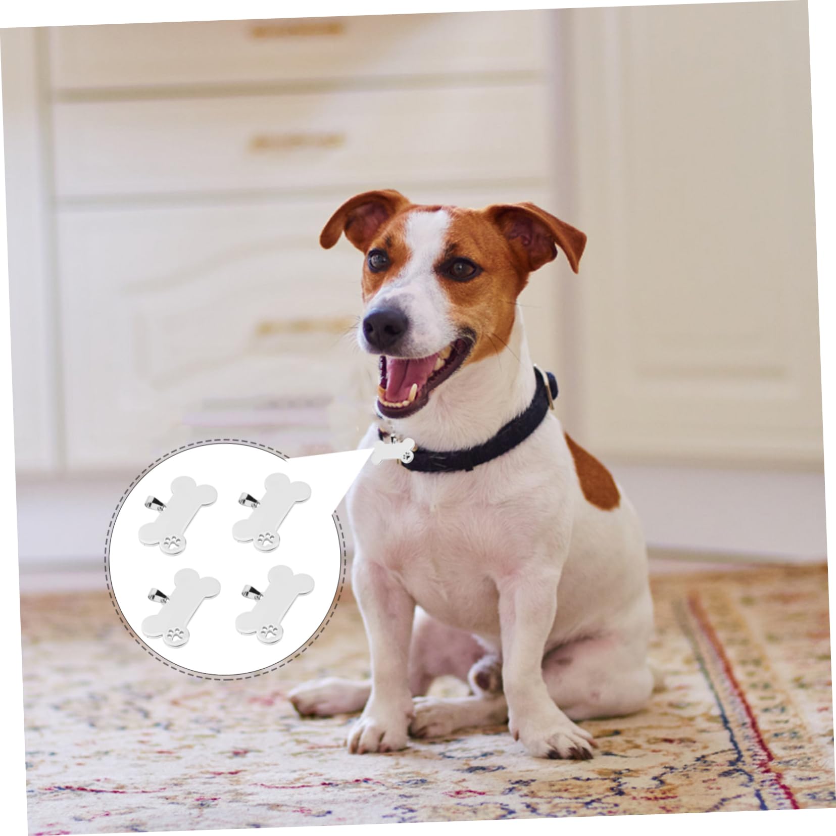SUPVOX 20pezzi Medagliette Identificative Acciaio Inossidabile Per Animali Domestici Targhette Forma Di Osso Per Cuccioli Accessori Antismarrimento Incisi Design Elegante e Durevole Per