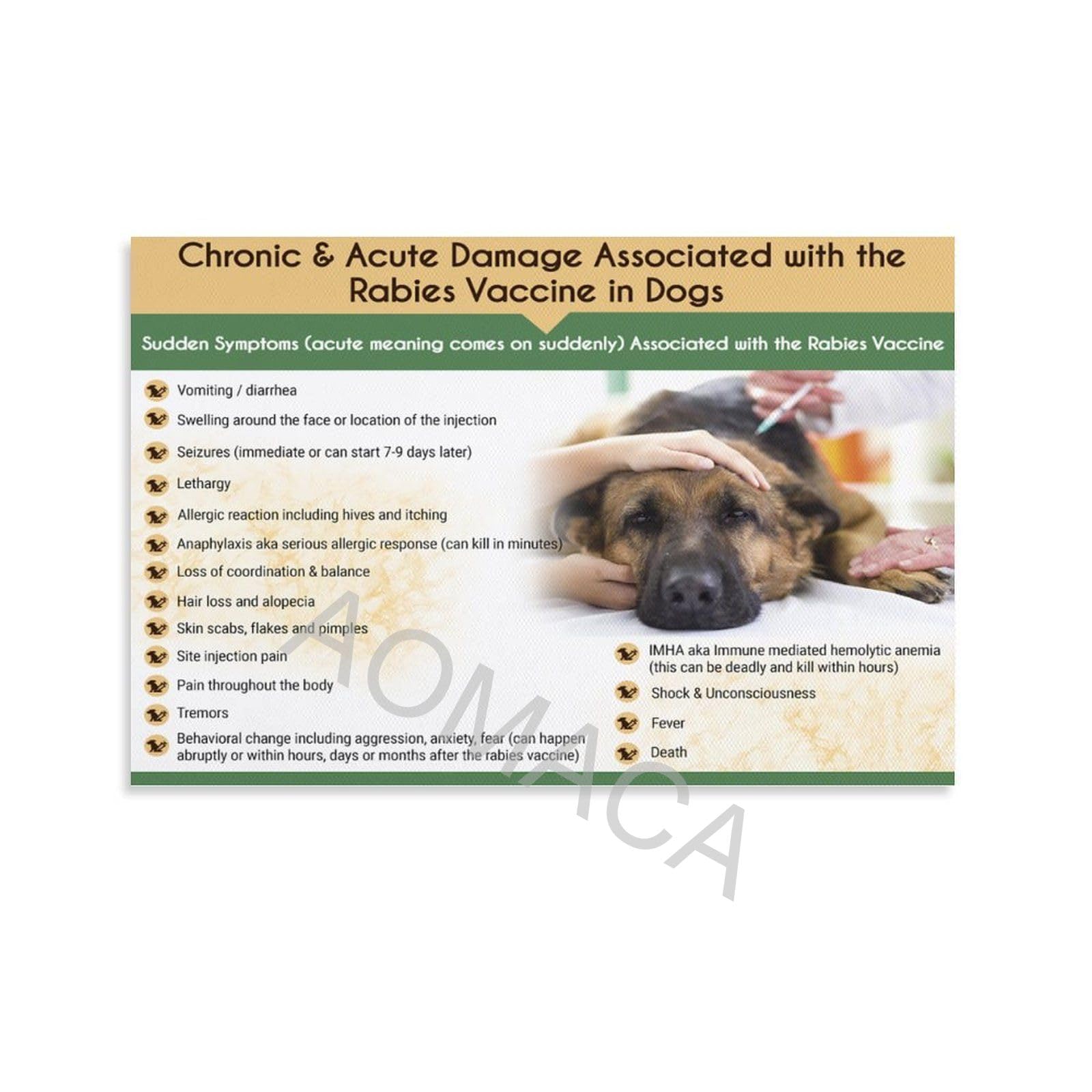 Rabies Vaccine For Dogs