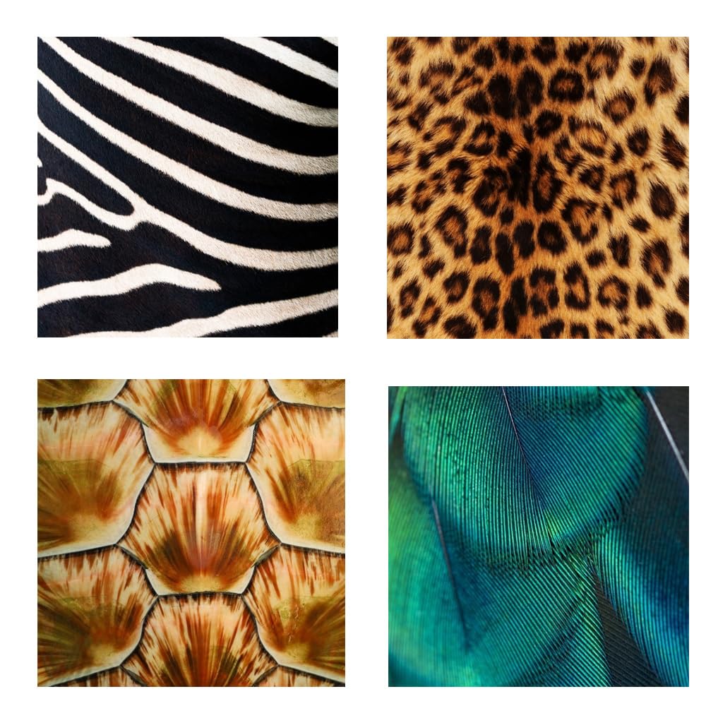 Paquete de 20 hojas A4 con estampado de animales