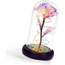 Childom Mothers Day Flowers Gifts for Mom Grandma,Birthday Gifts for Women,Valentines Gifts for Her,Mom,Women,Wife,Grandma,Light Up Rose in Glass Dome,Colorful Rainbow Mothers Day Flowers for Delivery