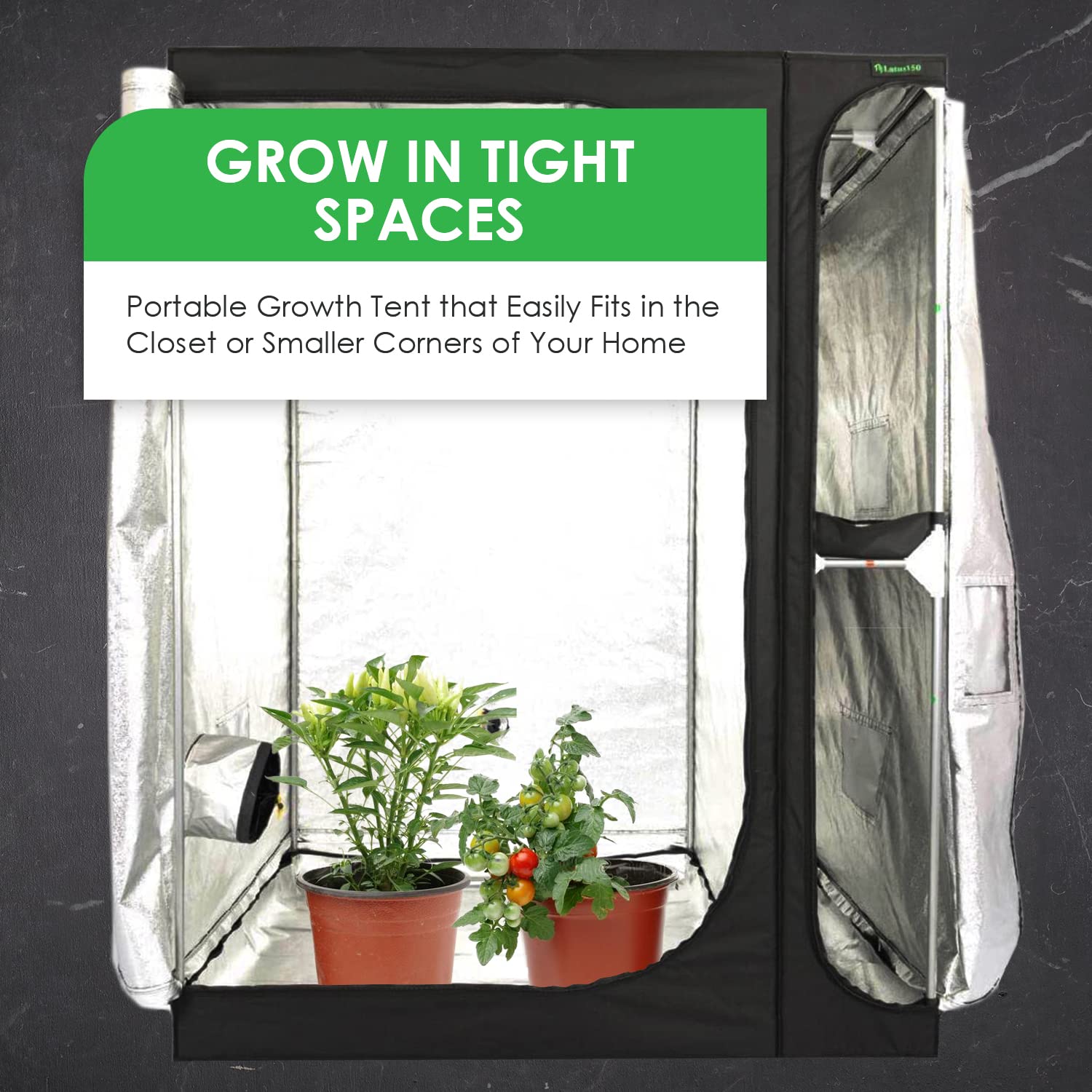 GrowTNT Latus150-150 x 120 x 200 cm for Grow in Small Spaces