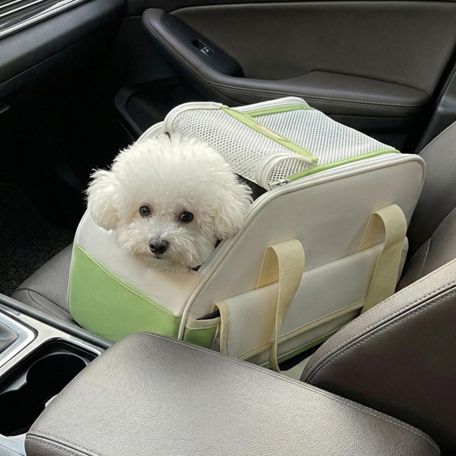 Trasportino Cani Piccoli Cerniera Scorrevole Manico Confortevole Borsa
