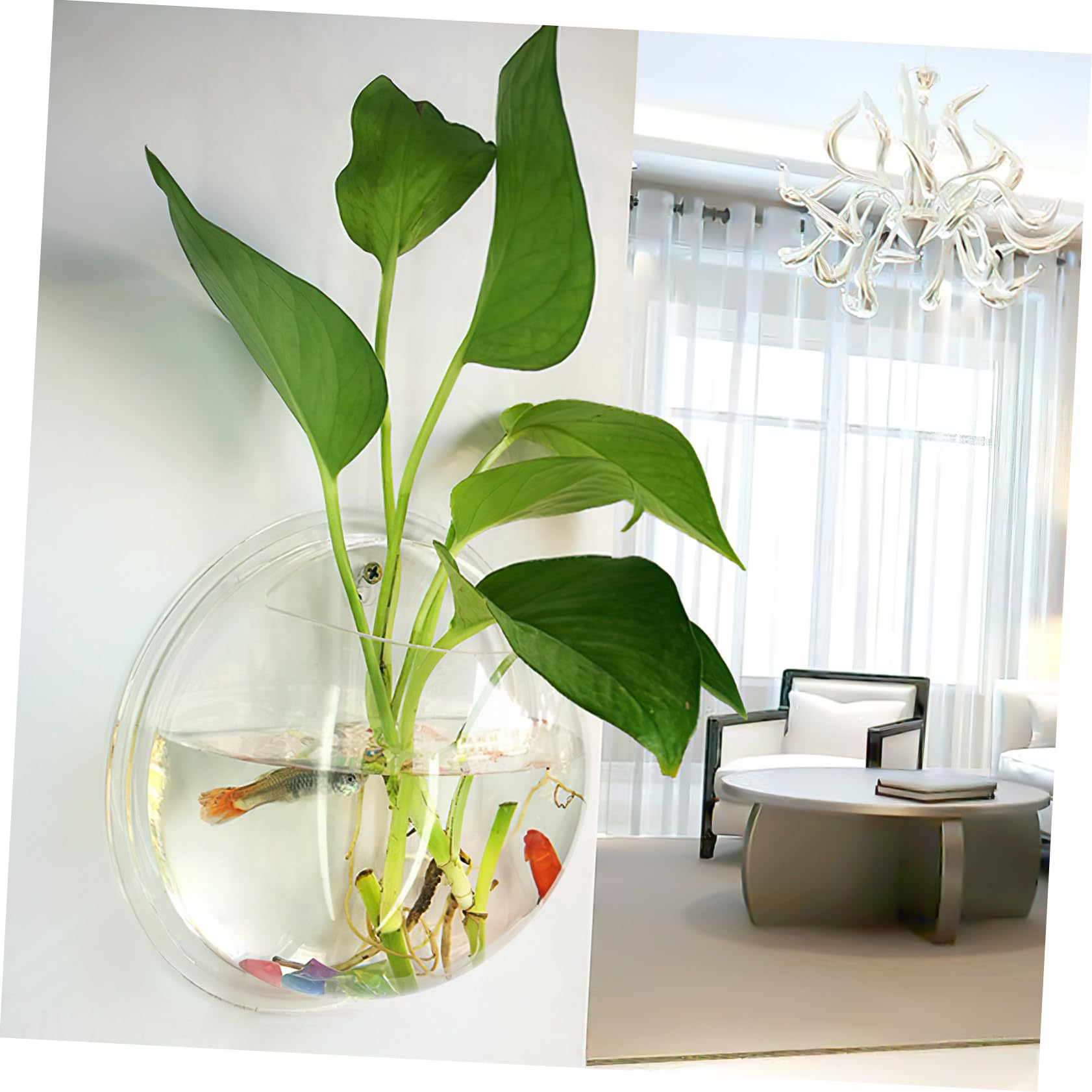 Aquarium Mural en Acrylique pour La Maison Peu Encombrant Diamètre De 23 Cm