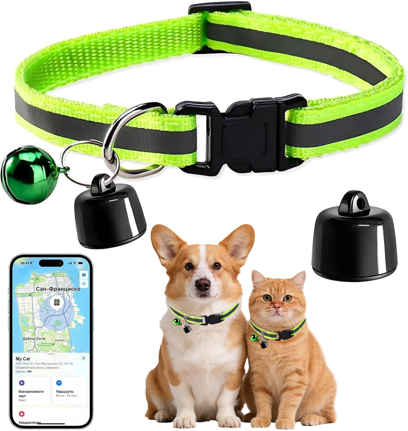 Traqueur GPS pour chats et chiens sans frais mensuels avec collier réfléchissant noir