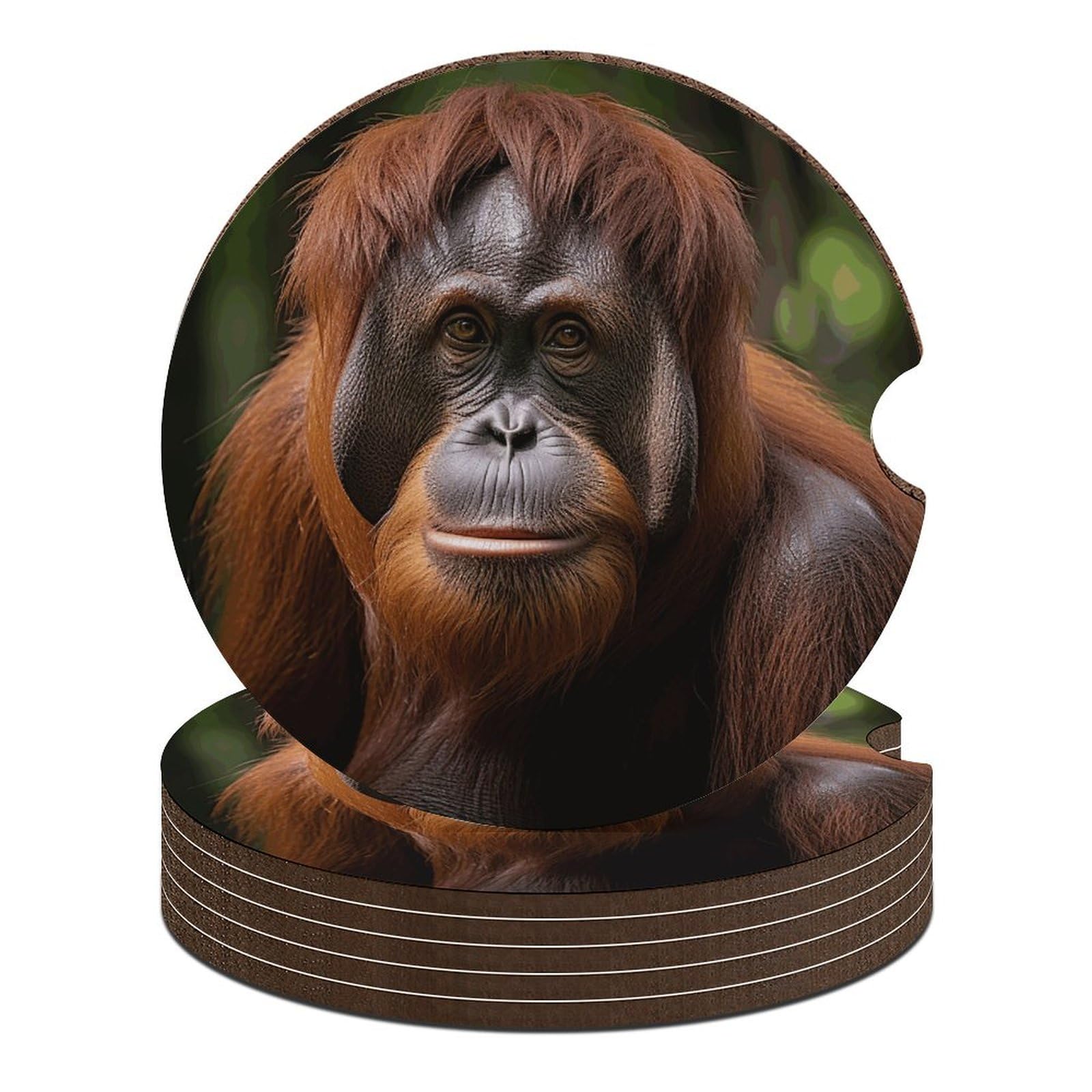 Dessous de verre orang-outan universels pour shooting photo en voiture