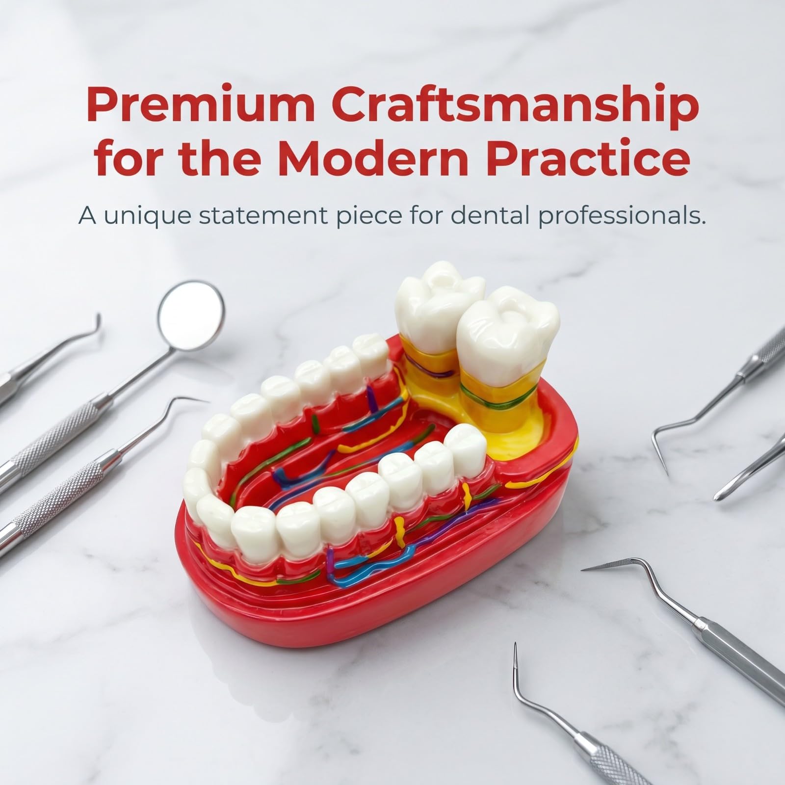 Ornamento da scrivania modello dentale, divertente decorazione artistica per studi dentistici, regalo unico per pensionamento, laurea o compleanno per uomini e donne, decorazione personalizzata per