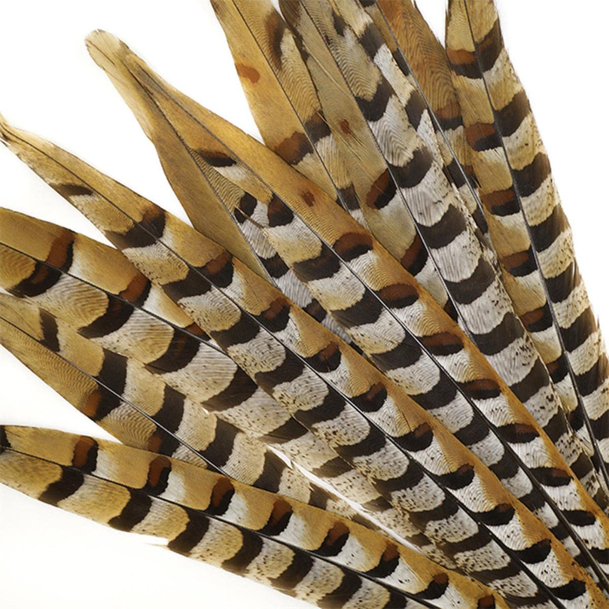 Piume di coda di fagiano lunghe 10-180 cm naturali per artigianato piume di fagiano decorazione accessori di carnevale-160-170 cm 163-172,7 cm, 10 pezzi