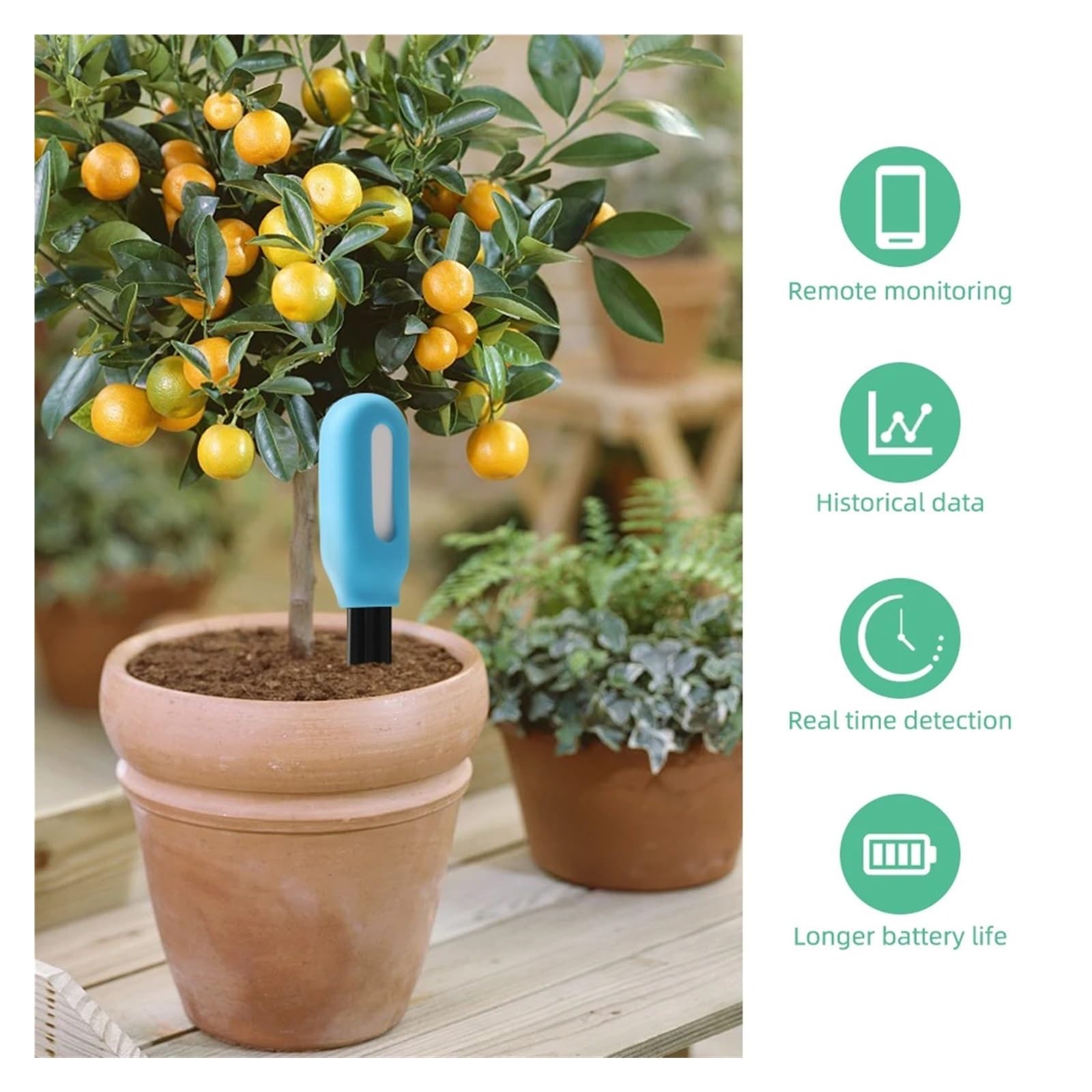 Sensor de humedad del suelo, probador de suelo inalámbrico para jardinería, plantación, césped y agricultura, control de temperatura y humedad, higrómetro de tierra para plantas en maceta