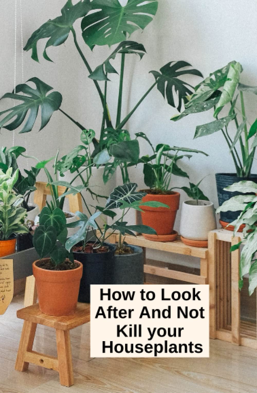 How to Look After and Not kill your Houseplants: The science of cultivating your houseplants, a complete guide to choosing, growing, and caring so ... thrive and the art of not killing them!