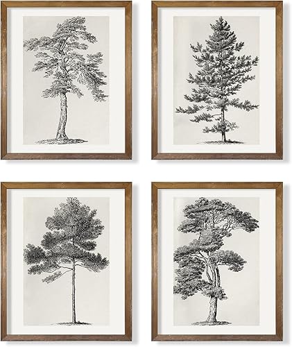 Grey Neutral Forest Tree Sketch Drawing Etching - Modern Farmhouse Botanical Wall Art - Beige Nature Plants Print Poster - Minimalist Vintage French