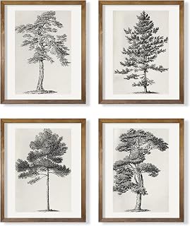 Grey Neutral Forest Tree Sketch Drawing Etching - Modern Farmhouse Botanical Wall Art - Beige Nature Plants Print Poster - Minimalist Vintage French Country Room Decor - Rustic Gray Picture for Wall