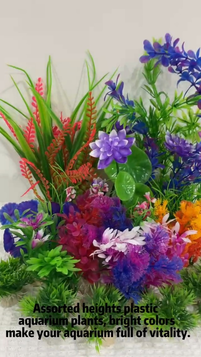 Prachtige aquariumhal in onze winkel