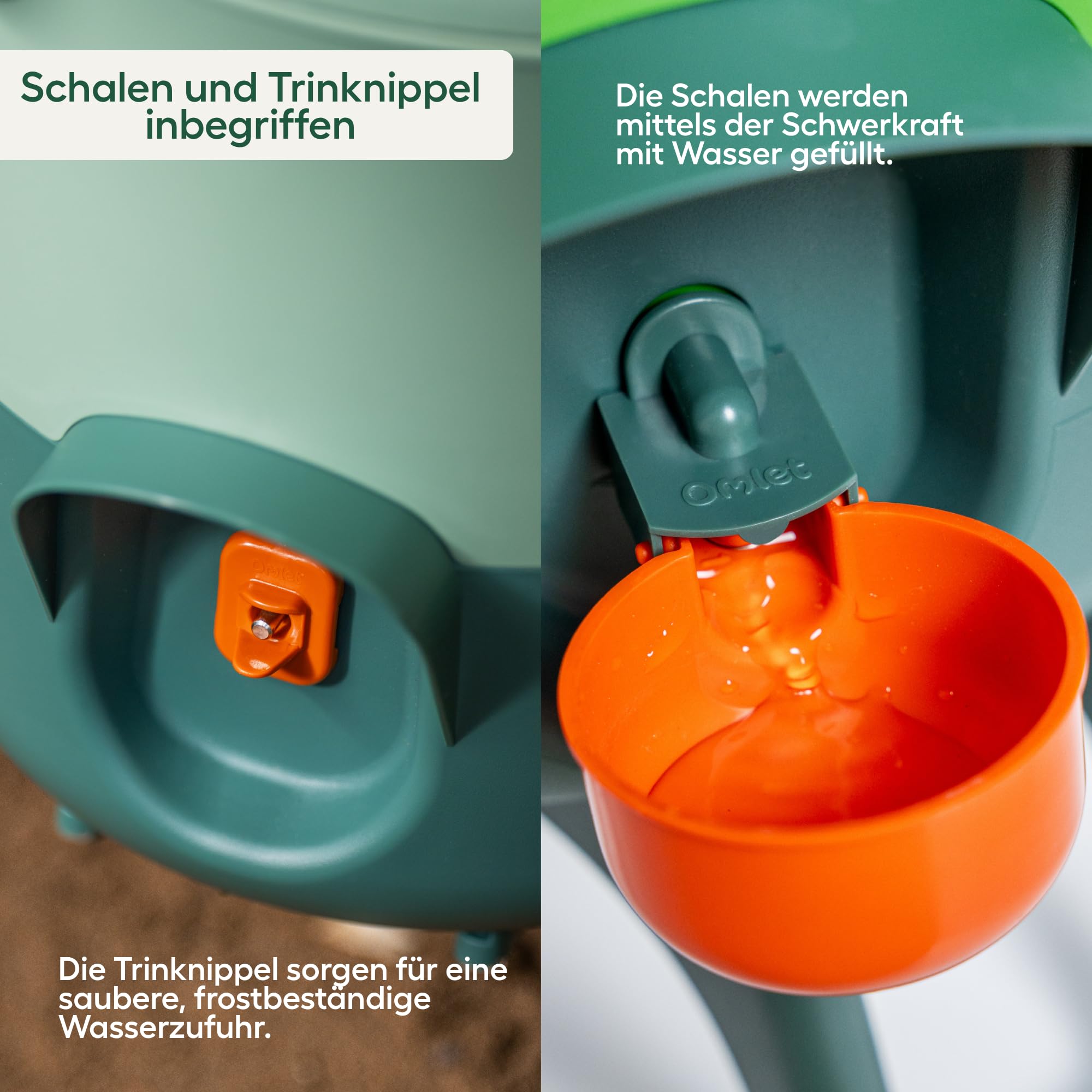 Omlet Isolierter Wasserspender für Hühner 5,5 Liter | Automatische Geflügeltränke für Hühner | Sauberes Trinkwasser | BPA-frei | Anti-Sitzkuppel | Schalen und Trinknippel inbegriffen | Salbeigrün