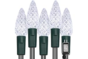 WATERGLIDE C6 LED Colored Christmas Lights Outdoor