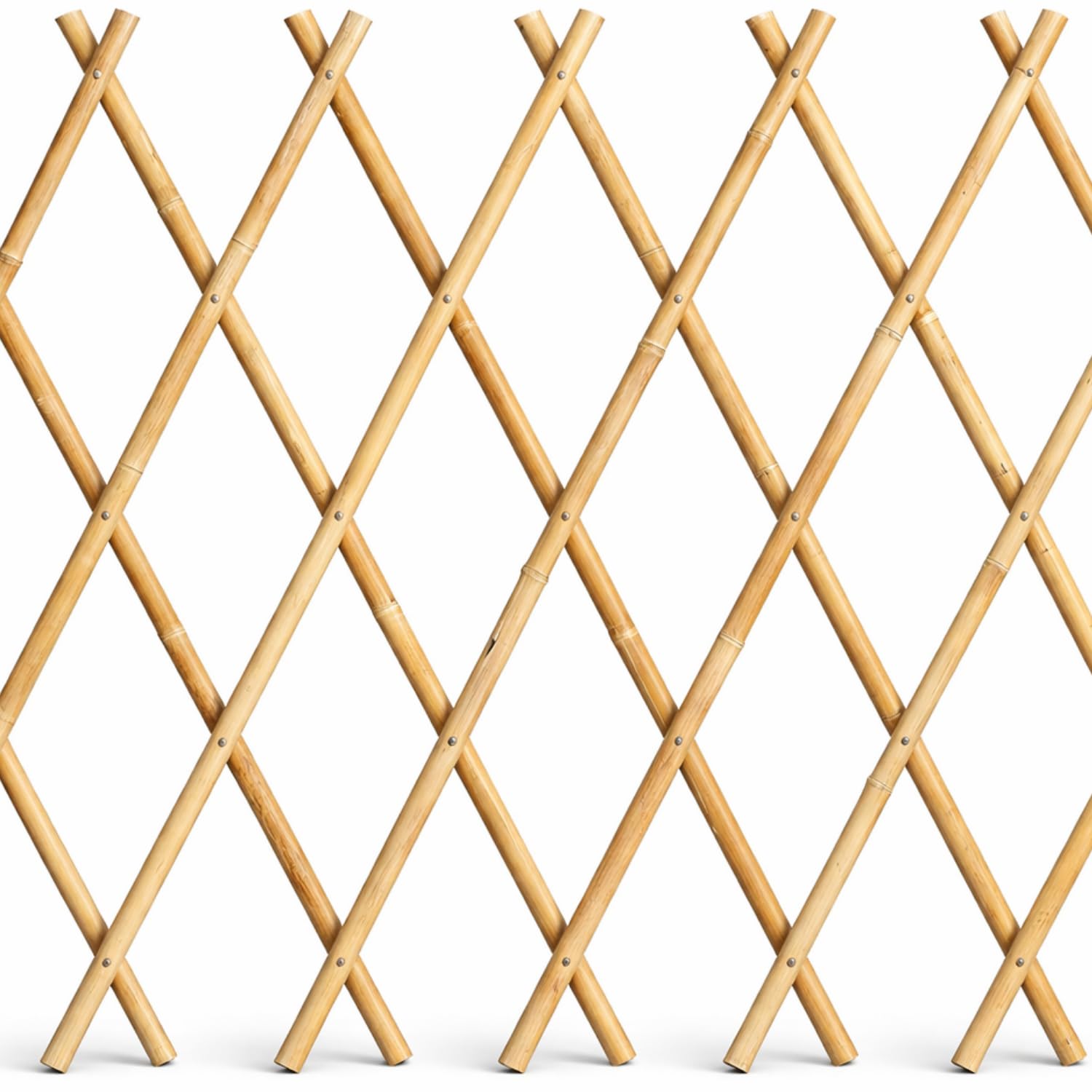 Virsus 1 Traliccio Estensibile in Bamboo Naturale 3966, Diametro 12-14 mm, per Sostegno a Muro di Fiori e pianti rampicanti, per Decorazione Esterni Pannello Recinzione Giardino, terrazzo (180x120 cm)