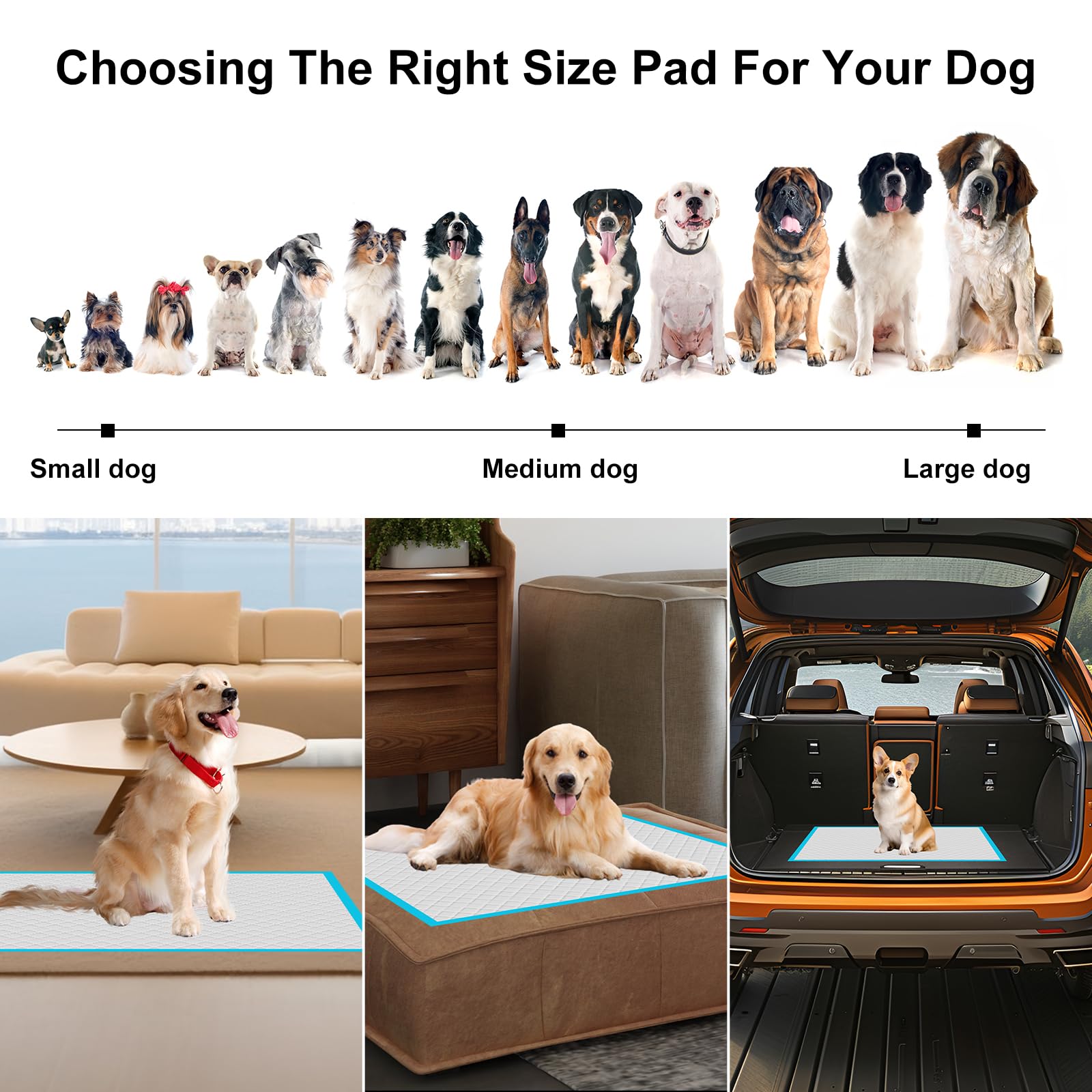 Almohadilla para orina de perro, grande, 23.6 x 23.6 pulgadas (paquete de 50), almohadillas desechables de entrenamiento para cachorros, almohadillas para orinal y mascotas, ultra absorbente, 6