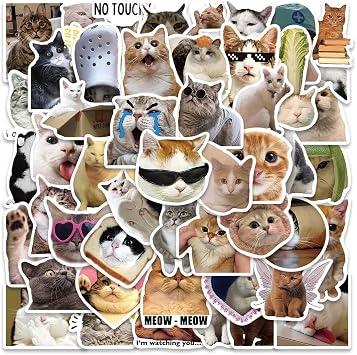 Cute Cat Stickers, Funny Cat Meme Stickers for Adults, 50PCS Funny Kawaii Animal Vinyl Waterproof Sticker for Laptop, Water Bottles, Phone, Scrapbook, Kiiten Pet Lovers DecalsB