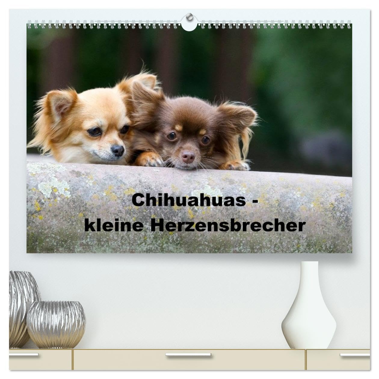 Chihuahuas - kleine Herzensbrecher (hochwertiger Premium Wandkalender 2026 DIN A2 quer), Kunstdruck in Hochglanz: Wunderschöne Outdoor Fotos der kleinen Hunderasse (CALVENDO Tiere)
